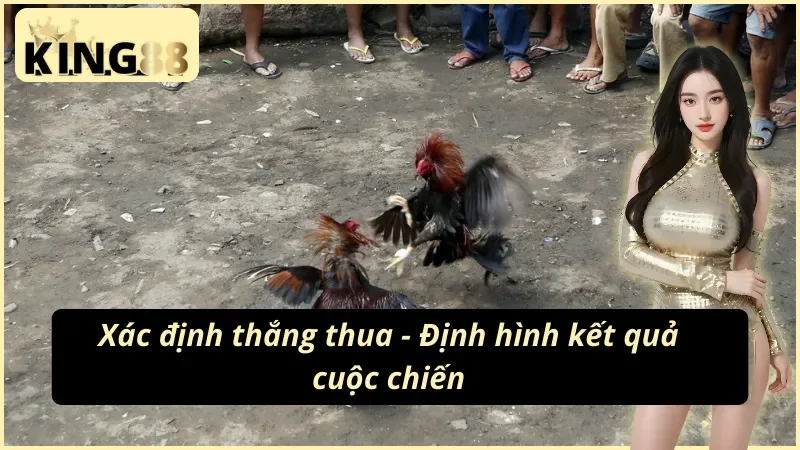 Định hình kết quả cuộc chiến cùng đá gà cựa dao KING88