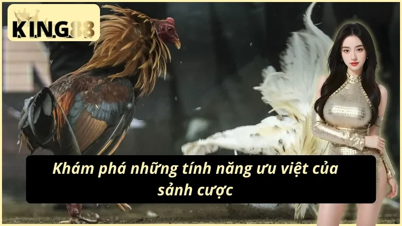 Những lợi thế đặc biệt của đá gà cựa sắt KING88 dành cho người chơi 